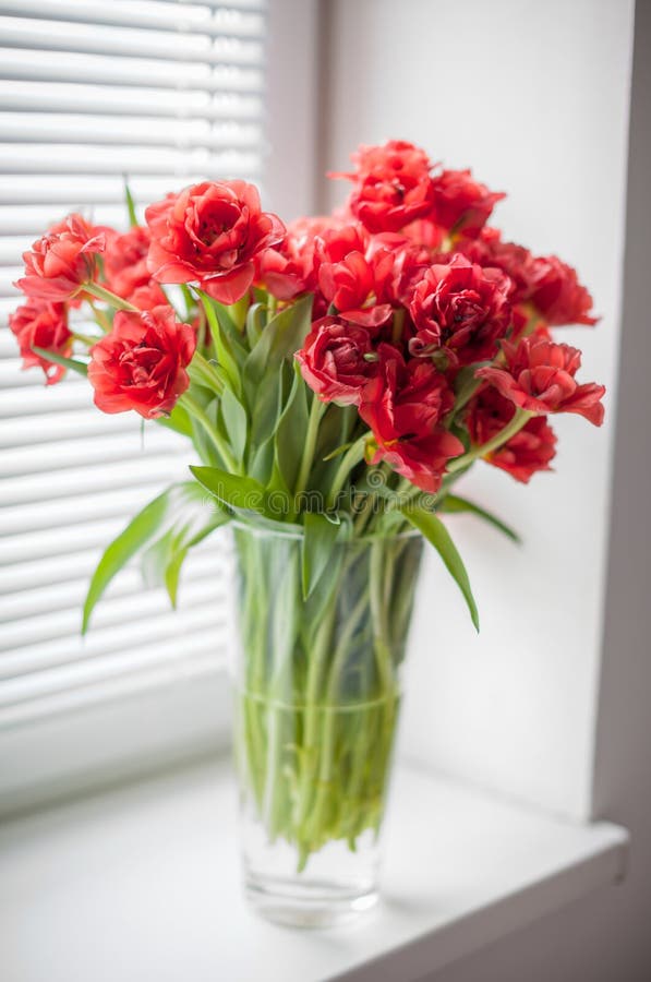 Ramalhete De Tulipas Vermelhas Em Um Vaso De Vidro Na Janela Foto de Stock  - Imagem de cortinas, pétala: 72502402