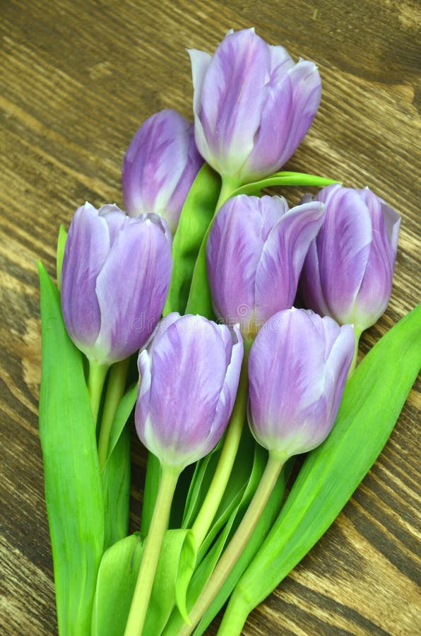 Ramalhete de tulipas violetas bonitas na tabela de madeira rústica imagem de stock royalty free Ramalhete de tulipas violetas bonitas na tabela de madeira rústica imagem de stock royalty free