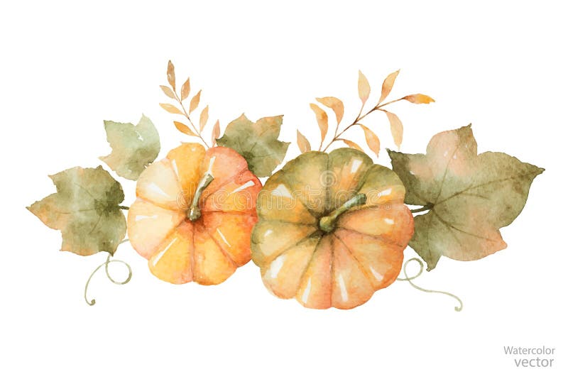 Ramalhete do outono do vetor da aquarela das folhas, dos ramos e das abóboras isolados no fundo branco ilustração do vetor Ramalhete do outono do vetor da aquarela das folhas, dos ramos e das abóboras isolados no fundo branco ilustração do vetor