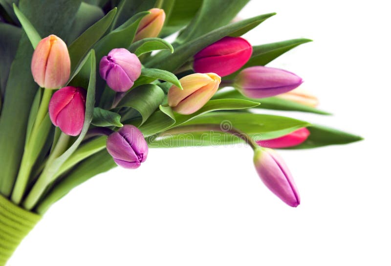 Ramalhete dos tulips foto de stock royalty free Ramalhete dos tulips foto de stock royalty free