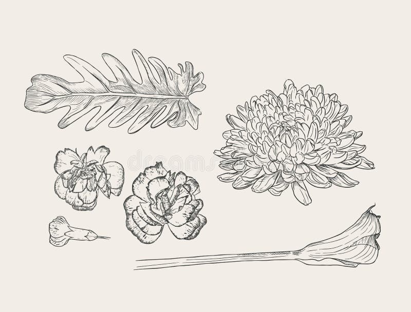 Ramalhete floral com as flores tiradas mão da mola ilustração do vetor Ramalhete floral com as flores tiradas mão da mola ilustração do vetor