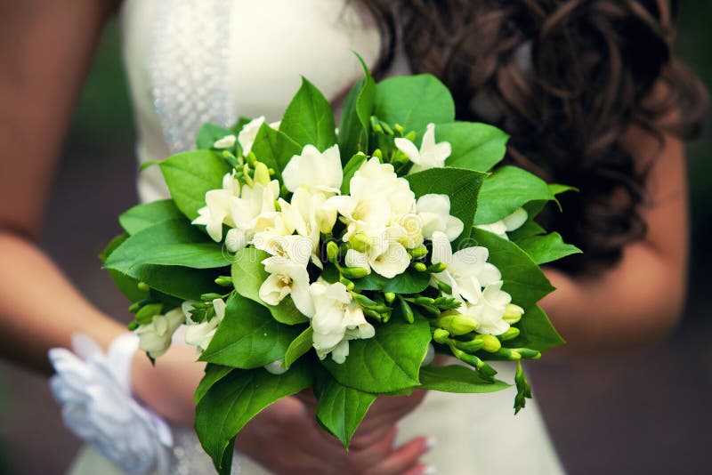 Ramalhete nupcial delicado nas mãos foto de stock Ramalhete nupcial delicado nas mãos foto de stock