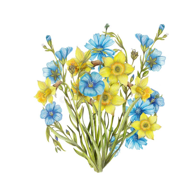 Ramalhete tirado mão de flores do narciso, flores do linho ilustração stock Ramalhete tirado mão de flores do narciso, flores do linho ilustração stock
