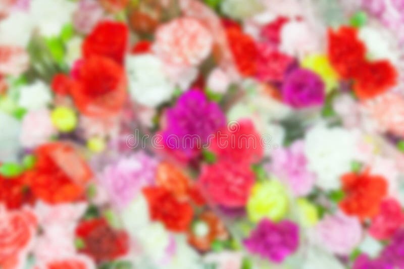 Ramalhetes coloridos da flor no borrão foto de stock royalty free Ramalhetes coloridos da flor no borrão foto de stock royalty free