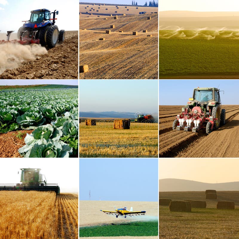 ramassage d'agriculture image libre de droits ramassage d'agriculture image libre de droits