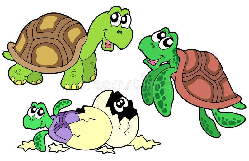 Turtles collection on white background - vector illustration. Turtles collection on white background - vector illustration.