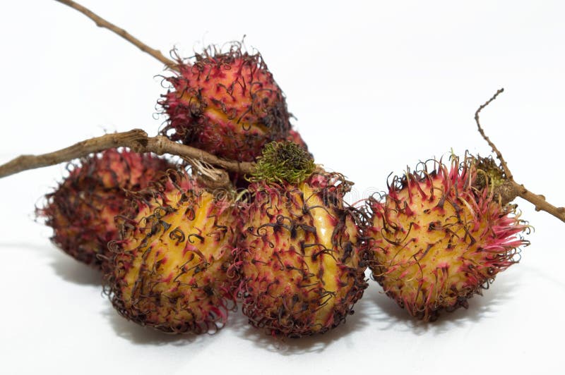 Rambutan fotografia stock