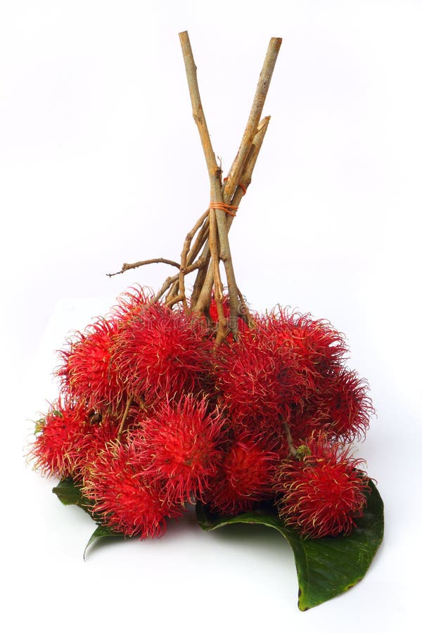 Rambutan