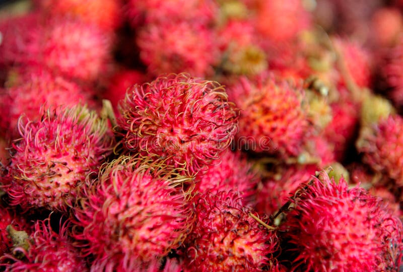 329 Rambutan Litchi Stock Photos - Free & Royalty-Free Stock Photos