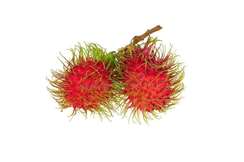 Rambutan fruit