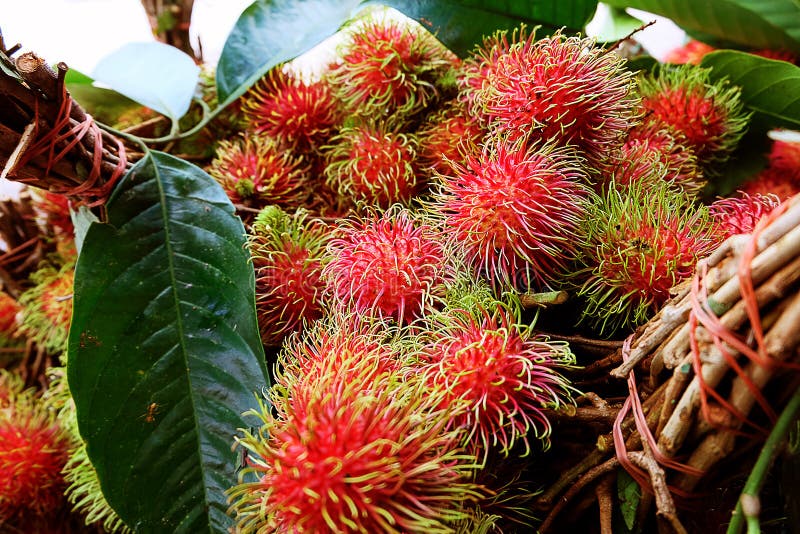 Rambutan fruit market in Thailand