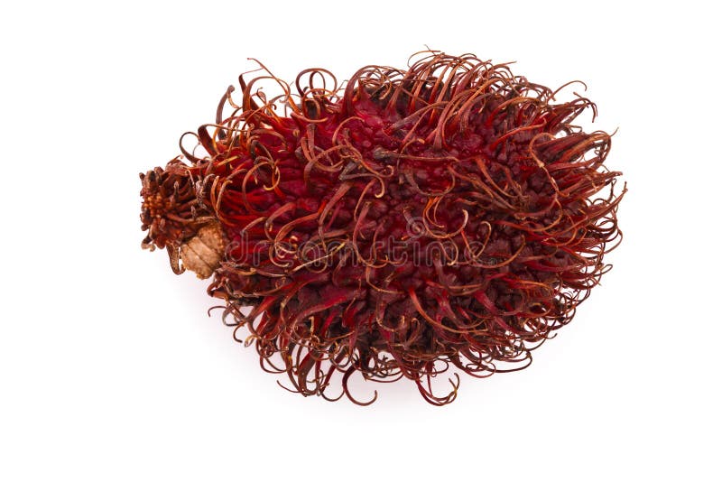 Rambutan getrennt auf weißem Hintergrund Tropische Frucht Nephelium lappaceum Beschneidungspfad eingeschlossen Flache Lage stockfoto Rambutan getrennt auf weißem Hintergrund Tropische Frucht Nephelium lappaceum Beschneidungspfad eingeschlossen Flache Lage stockfoto