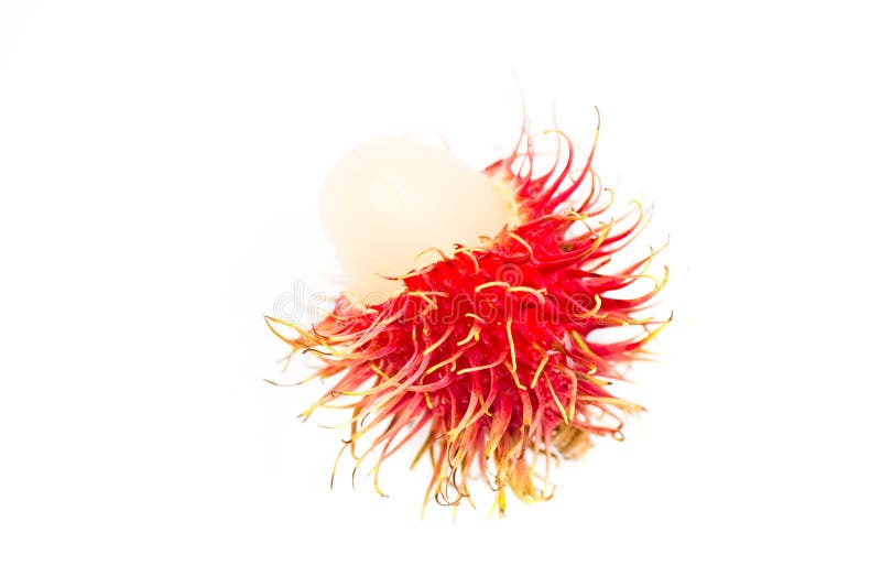 Rambutan isolato immagini stock libere da diritti