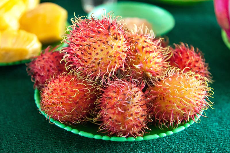 Rambutan stock photo. Image of edible, asia, nonclimacteric 36067054