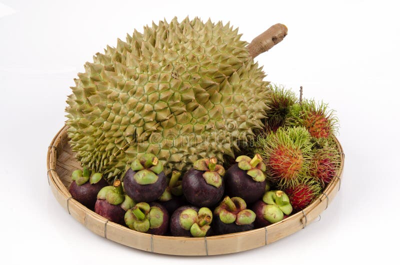 que dejar de comer para eliminar la grasa abdominal Bebida evitar que dejar de comer para eliminar la grasa abdominal