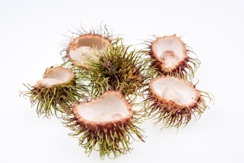 rambutan zaad lappaceum nephelium