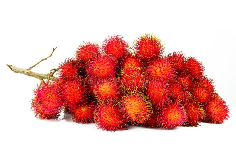 Rambutan fotografia stock libera da diritti