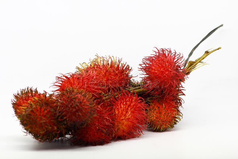 Rambutan Tropical Fruit Isolated Stock Image Image of delicious, ripe