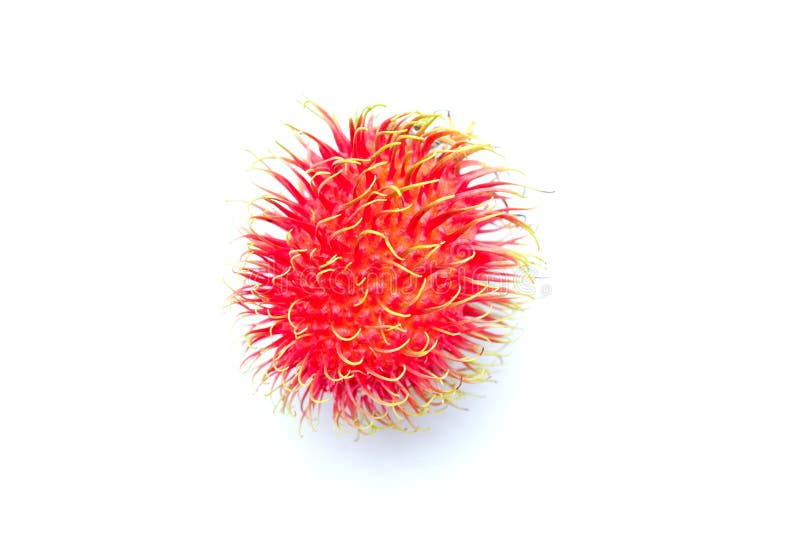 Rambutan immagini stock