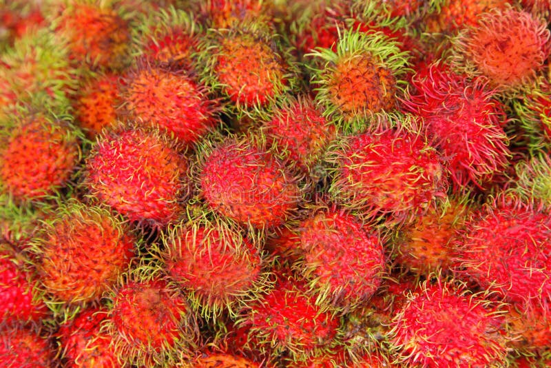 Asia fruit name rambutan stock photo. Image of ingredients 2813718