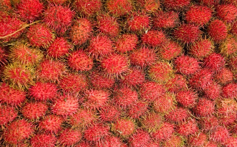 Frutto di rambutan immagini stock