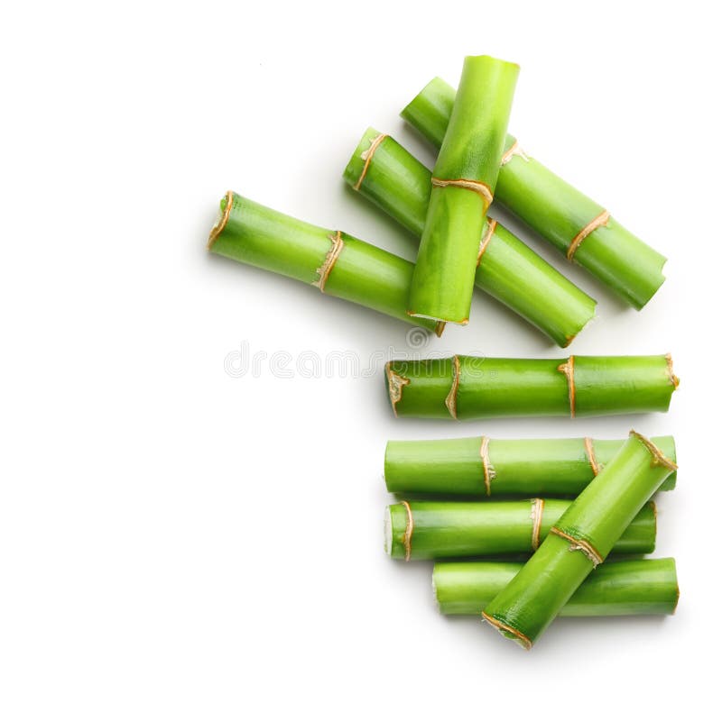 Rami di di bambù isolati fotografia stock libera da diritti