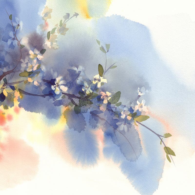 Rami di Sakura nel fondo dell'acquerello della fioritura