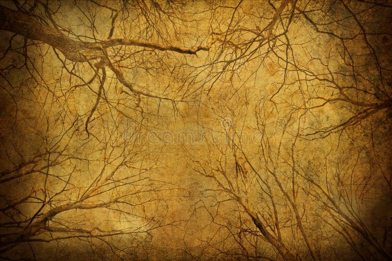 Ramas de árboles grunge sobre el cielo fotografía de archivo libre de regalías