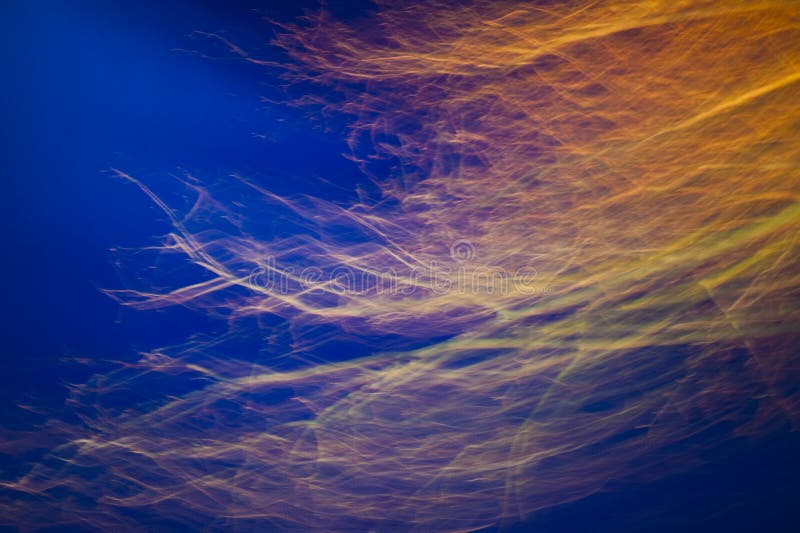 Ramas de árboles en movimiento foto de archivo libre de regalías