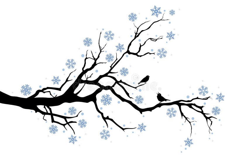 Ramificación de árbol del invierno