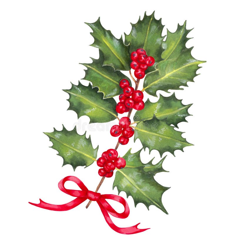 Holly branch with red berries and bow.Watercolor illustration. Christmas Holly. Botanical clipart for festive decoration of Happy New Year. Element for postcard, poster. Hand drawn isolated art. Holly branch with red berries and bow.Watercolor illustration. Christmas Holly. Botanical clipart for festive decoration of Happy New Year. Element for postcard, poster. Hand drawn isolated art