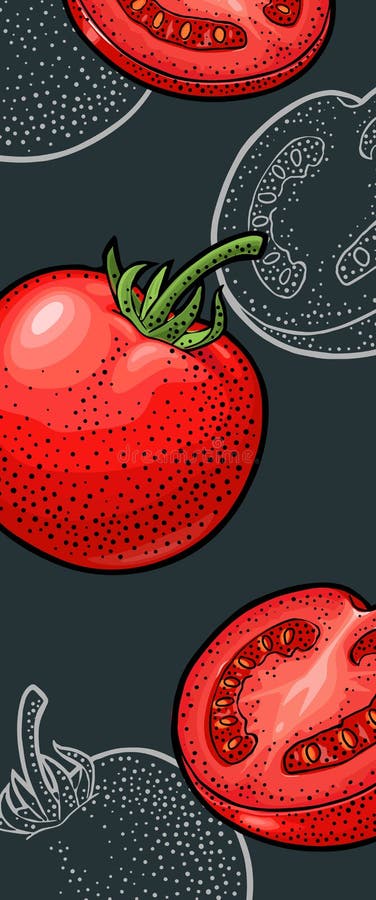 Ramificație întreagă și felie de tomate. gravare vector vector illustration