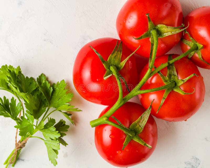 Ramifique com os cinco tomates vermelhos maduros Gotas da água em frutos maduros Folhas e tronco do verde fotos de stock Ramifique com os cinco tomates vermelhos maduros Gotas da água em frutos maduros Folhas e tronco do verde fotos de stock
