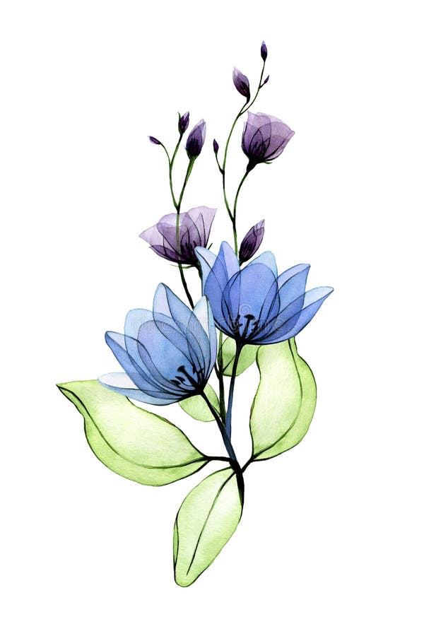 Ramo De Acuarela De Flores Transparentes. Flores Silvestres Azul Y Púrpura  Rosas Silvestres. Diseño Para Invitación De Boda Tarjet Stock de  ilustración - Ilustración de realista, pintado: 215954996