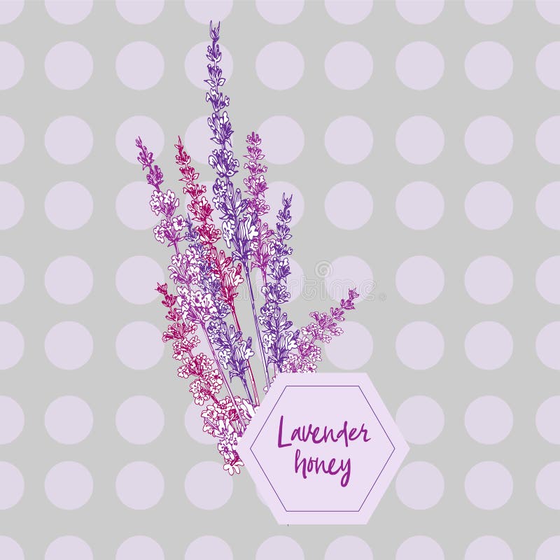 Ramo de bosquejo exhausto del color de la mano de la flor de la lavanda y de los arcos lindos aislados en fondo gris Modelo retro stock de ilustración Ramo de bosquejo exhausto del color de la mano de la flor de la lavanda y de los arcos lindos aislados en fondo gris Modelo retro stock de ilustración