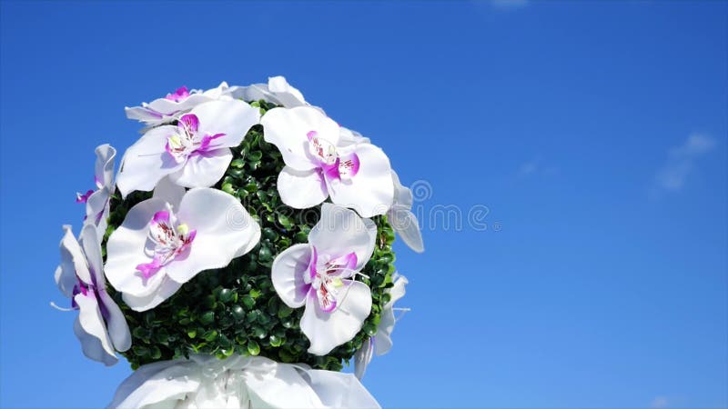 Ramo de diversas flores en la mano contra el cielo azul