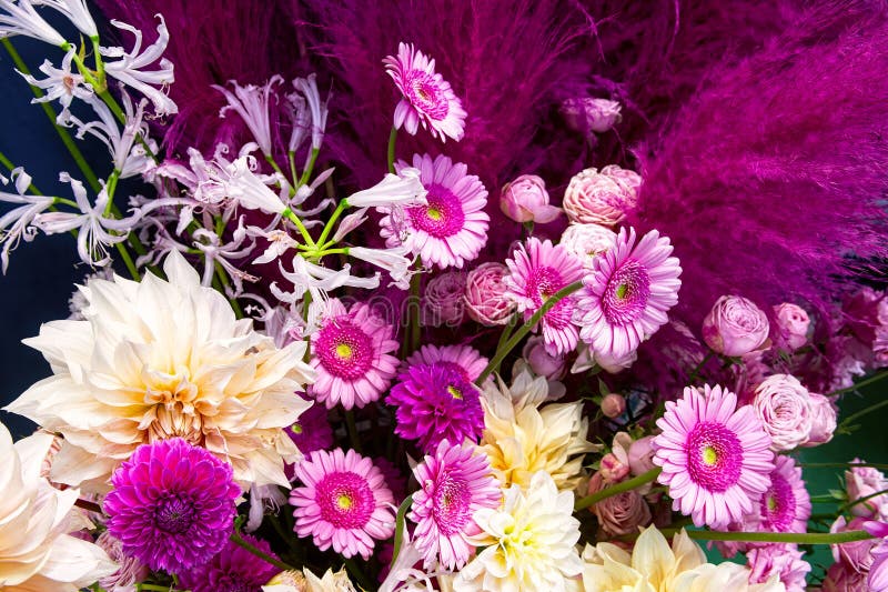 Ramo de flores : dahlias asters y gerberas. fondo floral colorido imagen de archivo libre de regalías