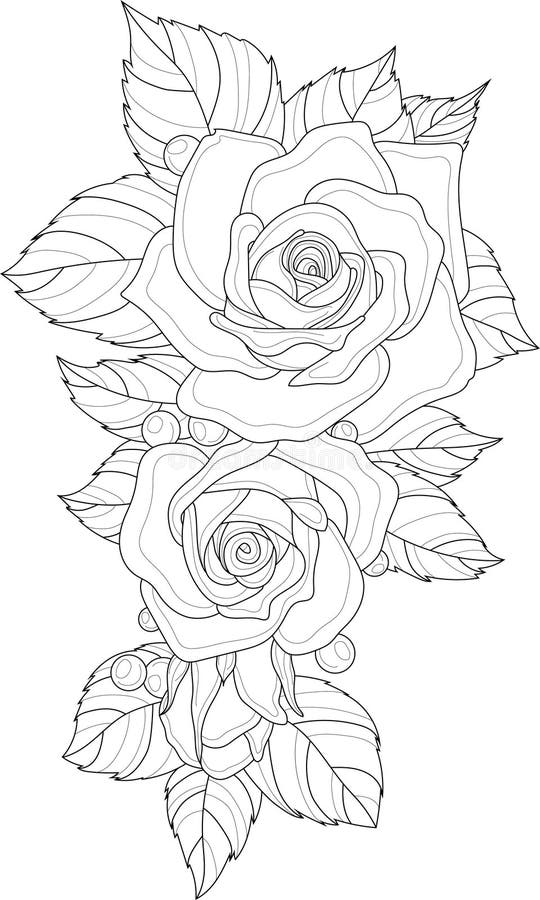 Ramo De Flores De Rosas Realistas Con Hojas De Dibujo Plantilla. Ilustración del Vector - Ilustración de juegos, adulto: 208256911 Ramo De Flores De Rosas Realistas Con Hojas De Dibujo Plantilla. Ilustración del Vector - Ilustración de juegos, adulto: 208256911
