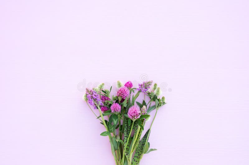 Ramo de flores salvajes en un primer rosa claro del fondo Trébol romántico apacible del fondo, del rosa y blanco fotografía de archivo libre de regalías Ramo de flores salvajes en un primer rosa claro del fondo Trébol romántico apacible del fondo, del rosa y blanco fotografía de archivo libre de regalías