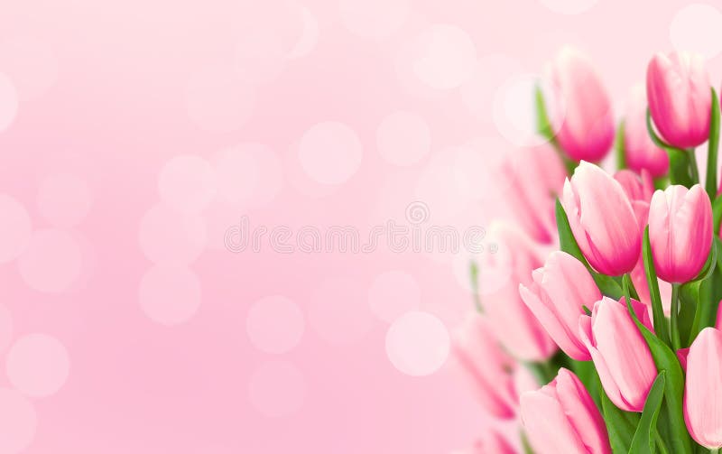 Ramo De Flores Tulipanes Rosados En Fondo Borroso Con La Copia Imagen de archivo - Imagen de madres, floral: 79852589 Ramo De Flores Tulipanes Rosados En Fondo Borroso Con La Copia Imagen de archivo - Imagen de madres, floral: 79852589
