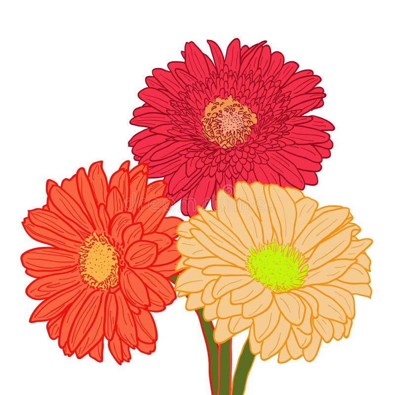 Ramo de tres gerberas coloridos Mano drenada stock de ilustración
