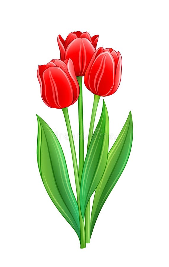 Ramo de tulipanes rojos ilustración del vector. Ilustración de vacaciones -  91557588