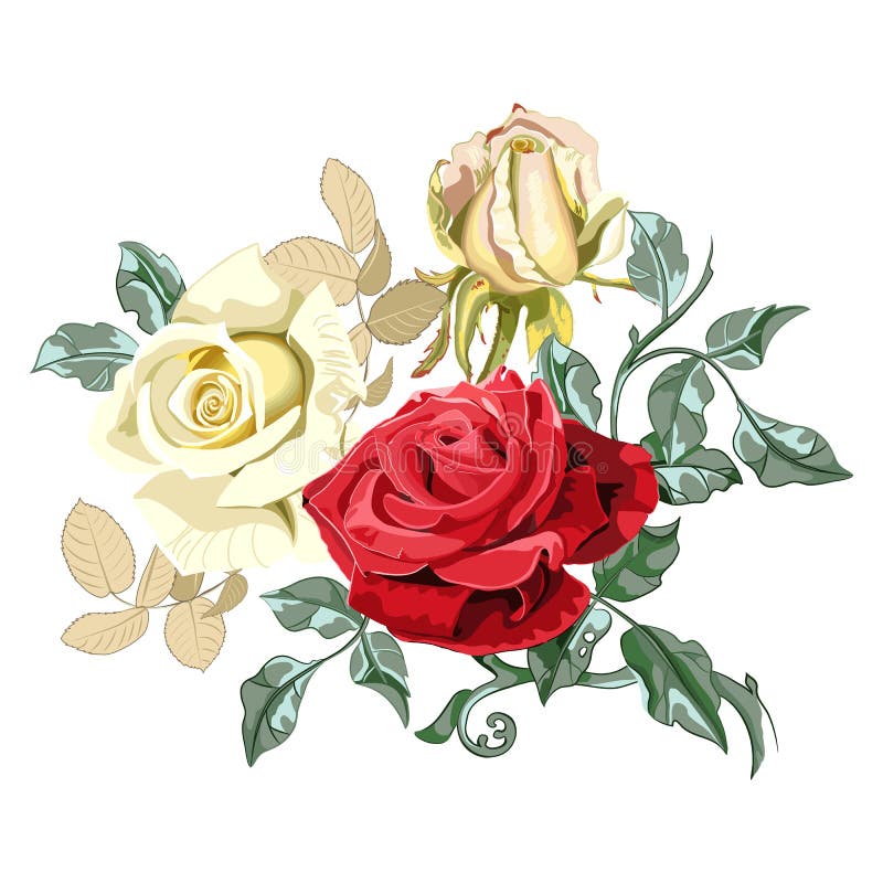 Ramo Del Centro De Flores De Rosas Hermosas En El Fondo Blanco, Cierre Para  Arriba Ilustración del Vector - Ilustración de cubo, ilustraciones:  150985916