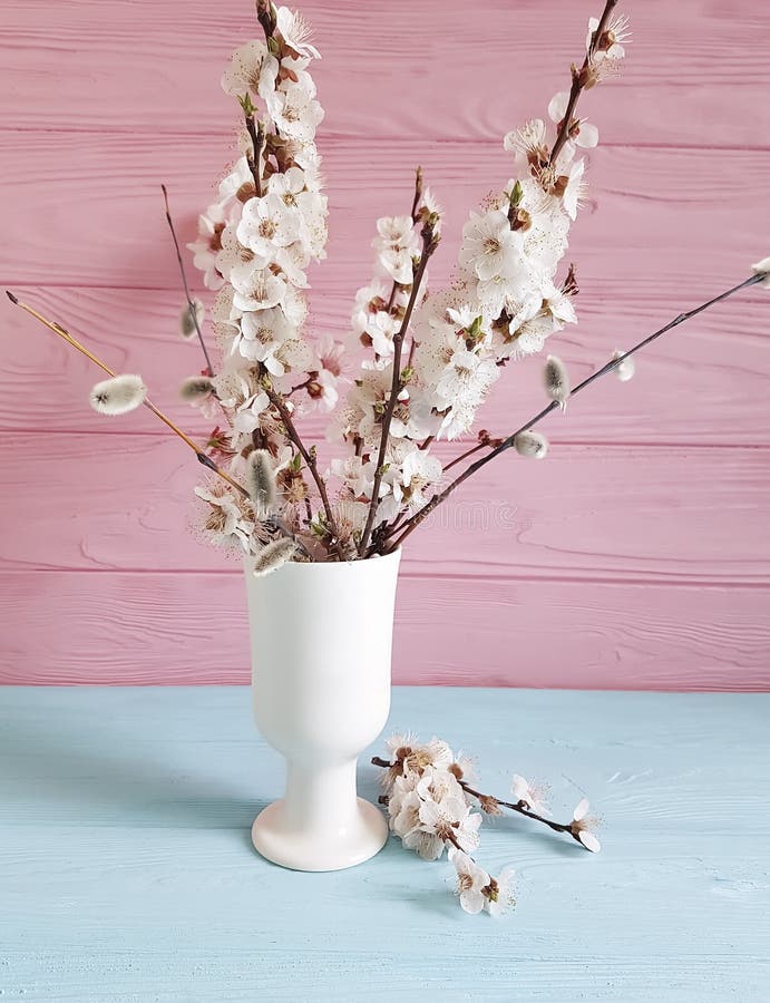 Ramo del fiore di ciliegia, salice nella decorazione del vaso su fondo di legno colorato fotografia stock libera da diritti Ramo del fiore di ciliegia, salice nella decorazione del vaso su fondo di legno colorato fotografia stock libera da diritti