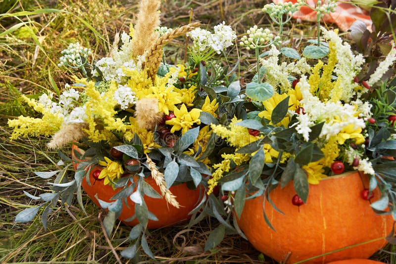 Ramo del otoño Calabaza Flores brillantes Naturaleza fotos de archivo libres de regalías Ramo del otoño Calabaza Flores brillantes Naturaleza fotos de archivo libres de regalías
