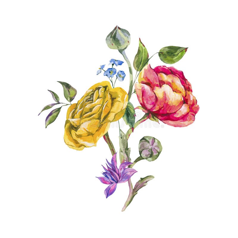 Ramo del verano de la acuarela de ranúnculo y de Wildflowers libre illustration Ramo del verano de la acuarela de ranúnculo y de Wildflowers libre illustration