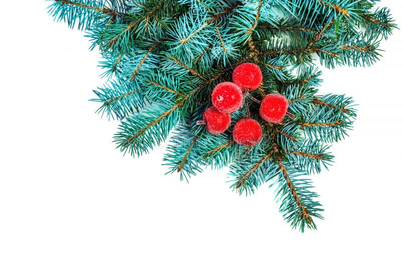 Ramo dell'abete con le decorazioni di Natale isolate sul backgrou bianco immagine stock Ramo dell'abete con le decorazioni di Natale isolate sul backgrou bianco immagine stock