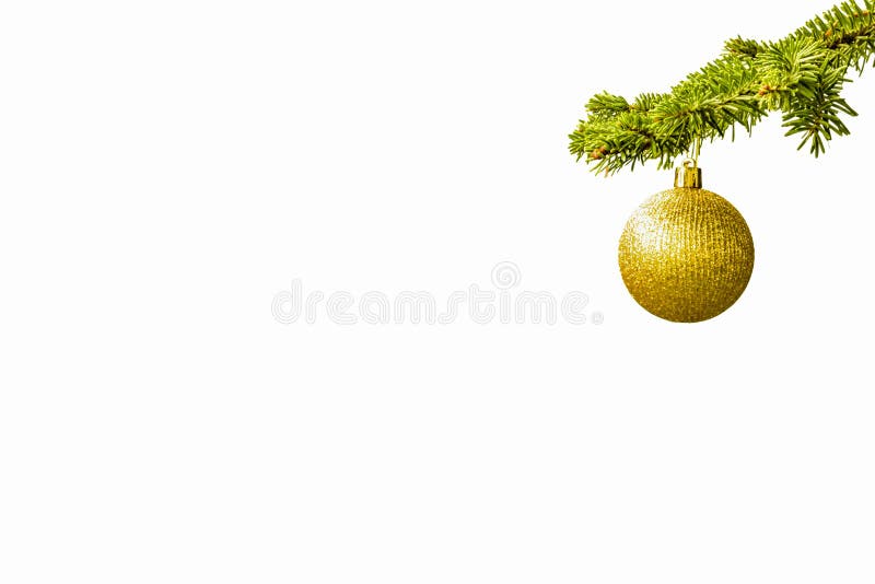 Ramo di albero dell'abete con una palla dorata di scintillio su fondo bianco christmastime Cartolina di natale fotografia stock libera da diritti Ramo di albero dell'abete con una palla dorata di scintillio su fondo bianco christmastime Cartolina di natale fotografia stock libera da diritti