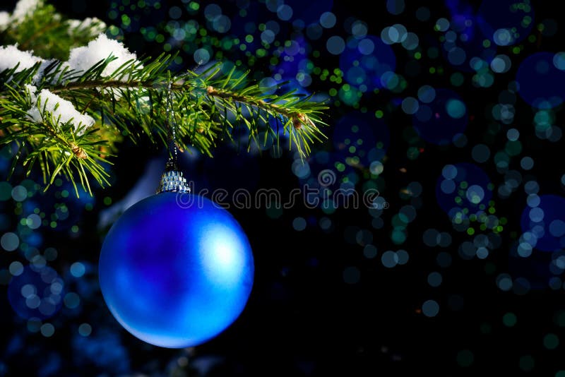 Ramo di albero di Forest Christmas con l'ornamento blu