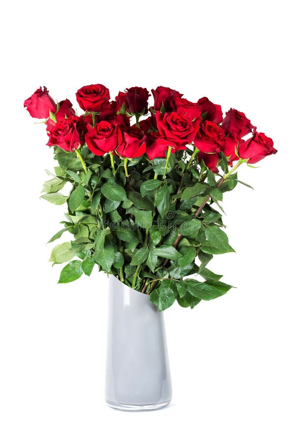 Ramo grande de rosas rojas vivas hermosas con los altos troncos en florero de cerámica gris Aislado en el fondo blanco fotografía de archivo Ramo grande de rosas rojas vivas hermosas con los altos troncos en florero de cerámica gris Aislado en el fondo blanco fotografía de archivo
